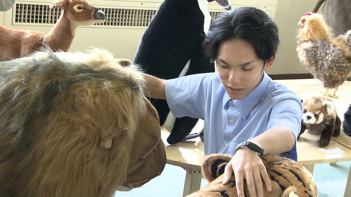 盲学校にリアルな動物模型を集めた動物園 手で触れることで動物たちの
