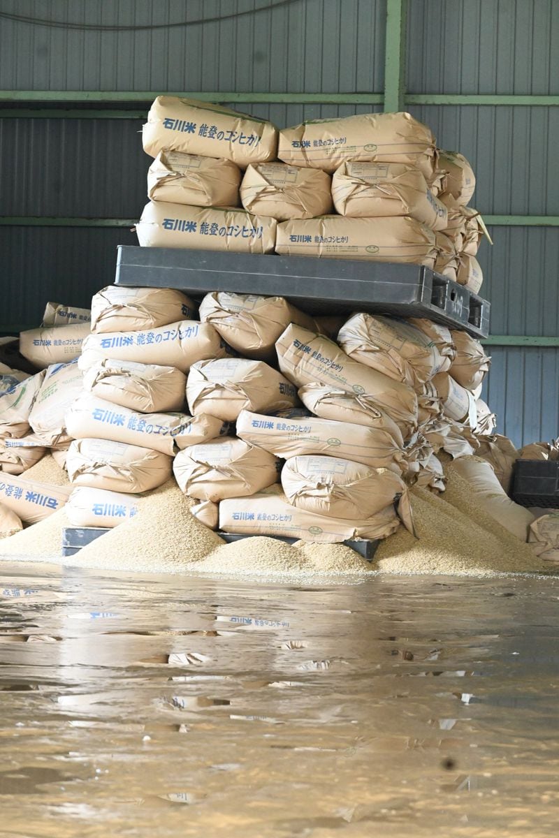 「いつまで頑張れば」収穫直前の豪雨被害　復興への希望絶たれ、生産者ら憔悴