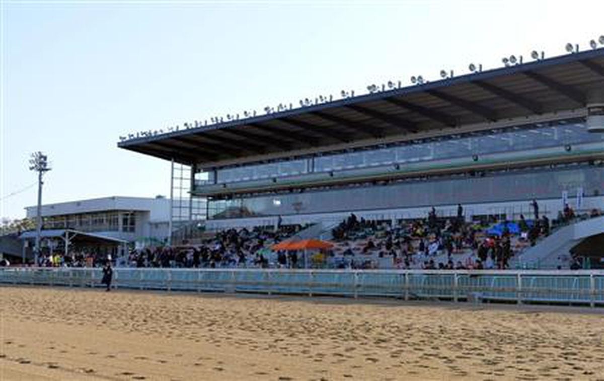 園田競馬場で騎手が落馬か、40代男性重体　乗馬の練習中、巻き込まれた2人も軽傷