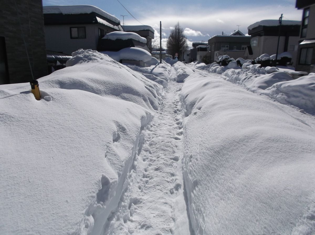 「災害級の大雪」青森の宮下知事が危機感　雪害事故相次ぎ死者7人　住民生活に大きな影響