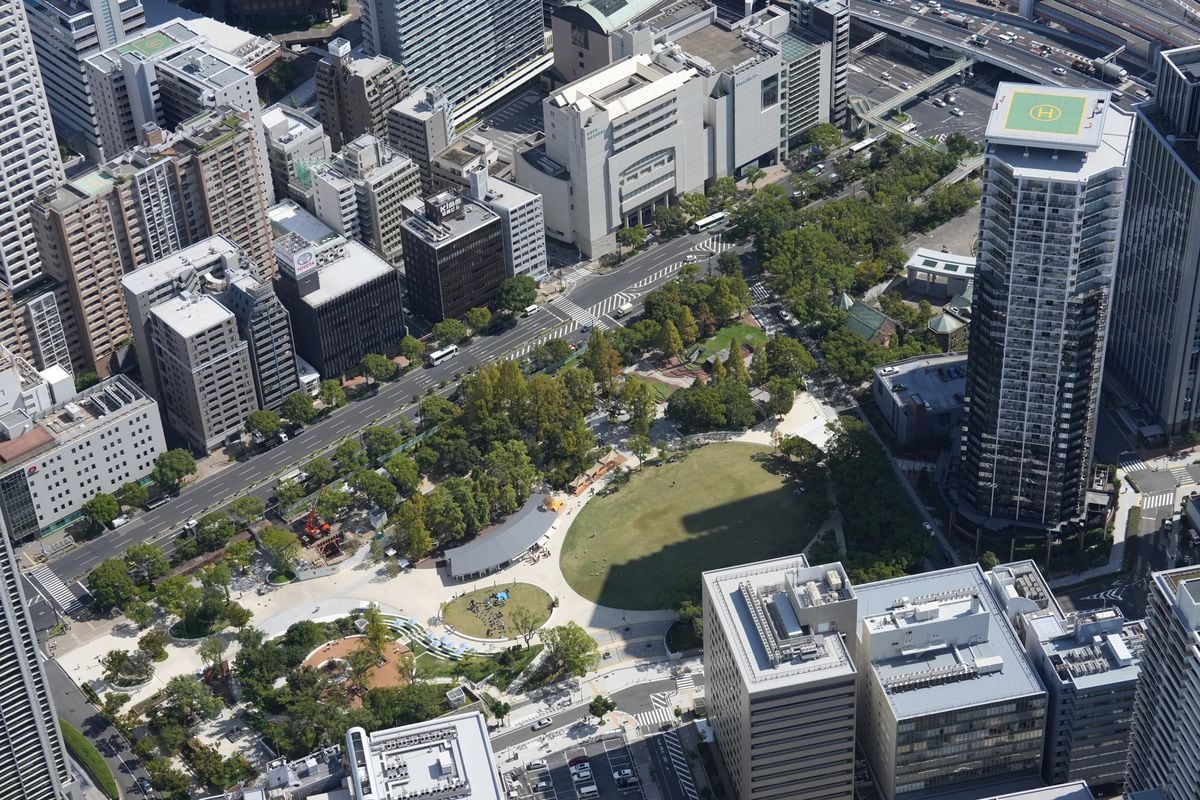 瓦礫の山と化した神戸　木の成長とともに街は再生した　震災から30年、安藤忠雄さんの想い