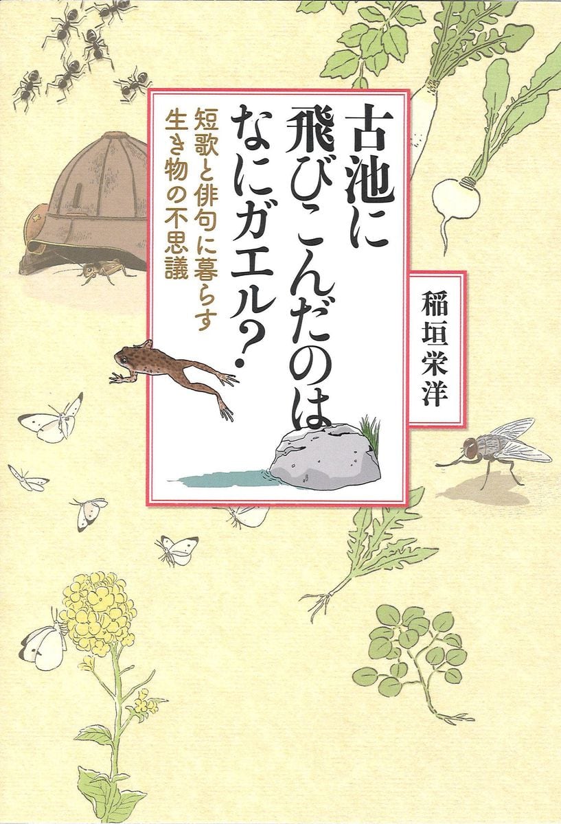 ＜書評＞『古池に飛びこんだのはなにガエル？』稲垣栄洋著