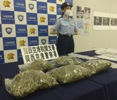 大麻使用罪、適用の改正法施行　医薬利用も可能に