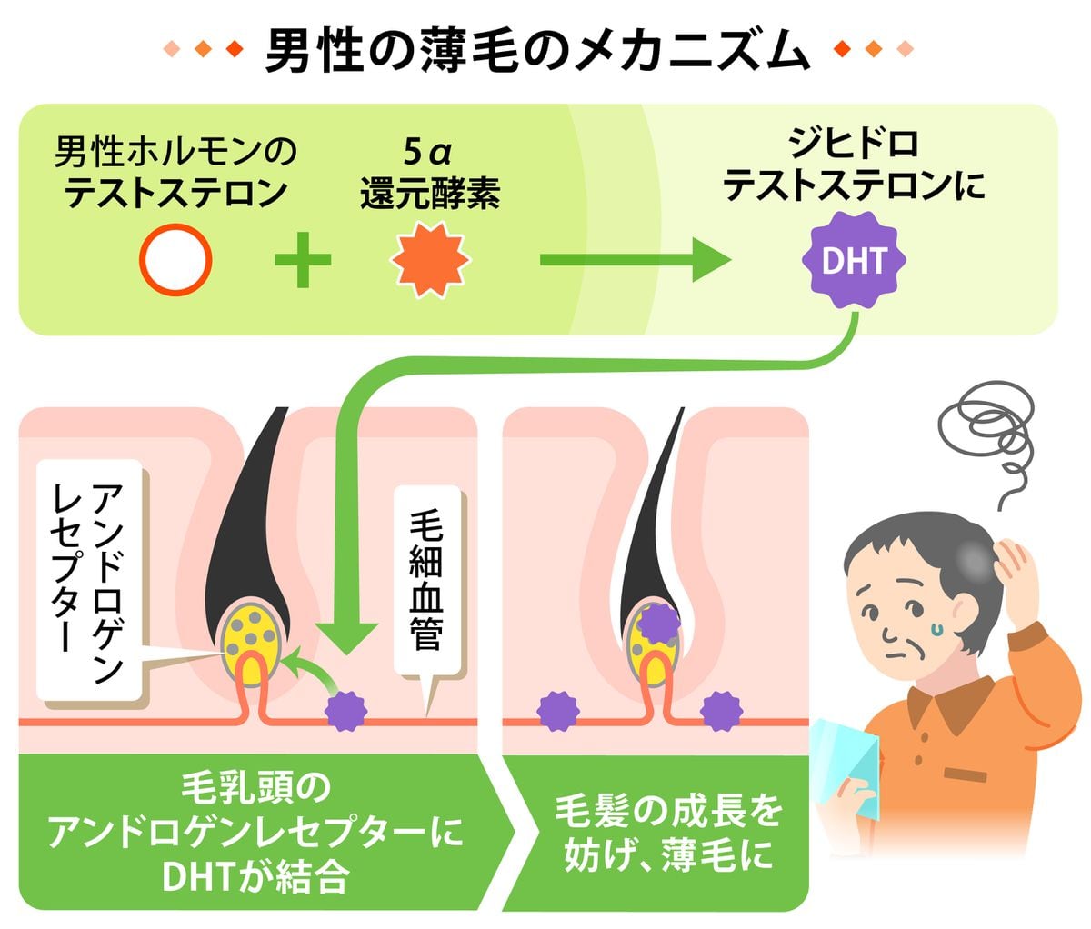 運動は薄毛に影響するの？　頭髪気にせず、秋の気候を味わいながら体を動かそう　きょうからへア活