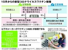 コロナ死者は年３万人、大半が高齢者　シニアへの定期接種スタート　　100歳時代の歩き方