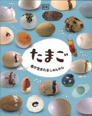 ＜児童書＞『たまご』　DK社編集部企画・編集、水島ぱぎい訳