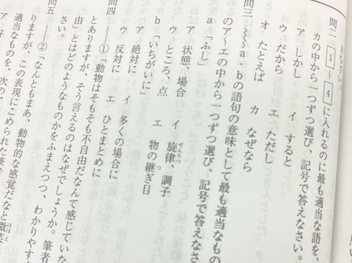 中学受験国語で入試前に読んでおきたい著者はこの2人　東大も出題した長田さん　　桜井信一の攻める中学受験