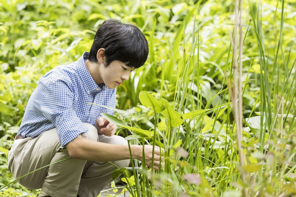 悠仁さま、成年のご感想全文「多くの方々に深く感謝」「残りの高校生活を大切に」