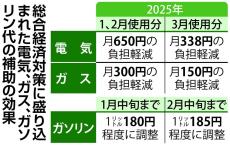 電気・ガス代、標準家庭で最大月1000円の負担減　ガソリン減税も検討　政府の経済対策