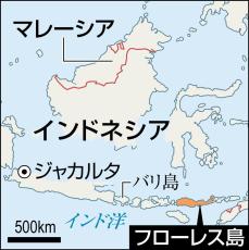 身長約１メートル、最小の人類を確認　インドネシアの孤島、東京大など化石を分析
