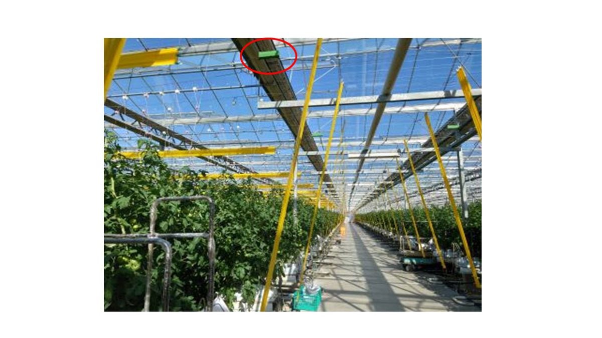 植物を揺らして害虫防除、農薬不要で収量アップも、市販化に向け実証実験中「振動農業技術」