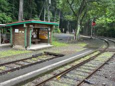 猫好き集まれ、黒部峡谷鉄道の「猫又駅」　今だけ下車OK、写真送付で愛猫が名誉助役に