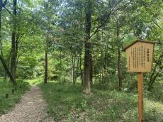 森林公園に残る戦国の城　山田城（前編）　山城ガールむつみ　埼玉のお城出陣のススメ