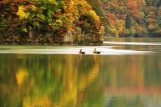 川面に映る鮮やかな紅葉、すべるように進む舟で味わう　福島県金山町の「霧幻峡の渡し」　ニッポン楽旅事典