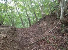 野上下郷集落の奥にそびえる山城　「仲山城」（後編）　山城ガールむつみ　埼玉のお城出陣のススメ