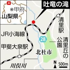 日本庭園さながらの情緒と優美、幾筋もの流れが重なり合う「吐竜の滝」　山梨・北杜　行ってみたい　水のある風景