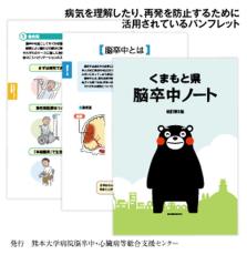 「まじか」脳卒中後遺症で、歩行までの回復は難しいと宣告　車いすで途方に暮れる　脳卒中サバイバー記者