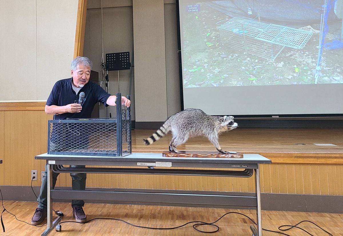 アライグマの捕獲数急増は空き家増加も一因？　捕獲器購入に補助金出す自治体も　埼玉