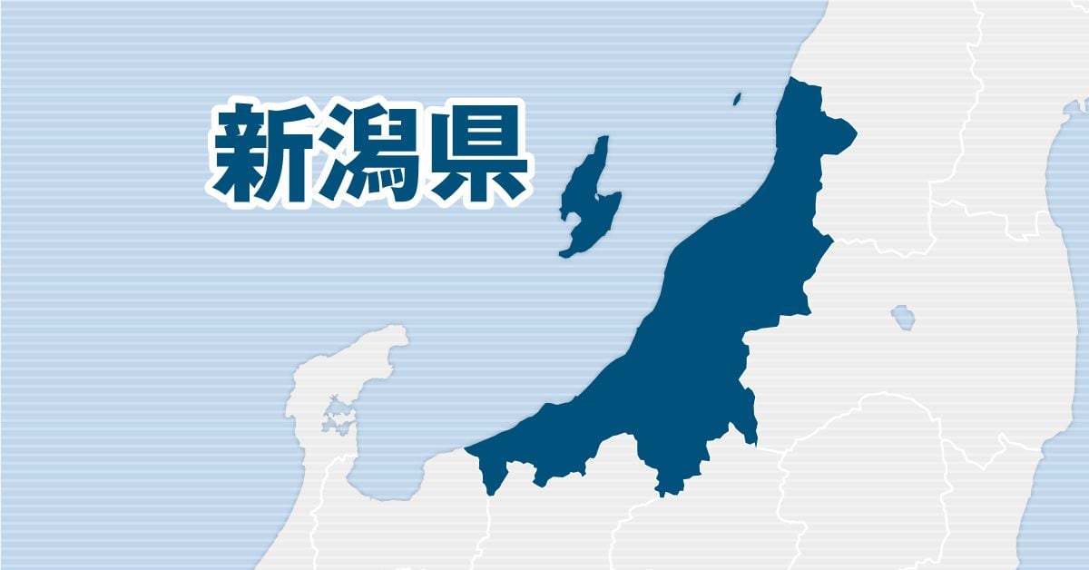 新潟・十日町市で80代女性がクマに襲われ救急搬送　意識ある状態　県内6人目の被害