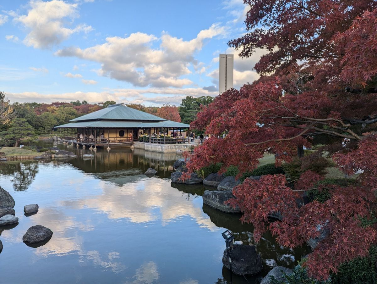 夜に浮かぶ秋の彩り 、大仙公園日本庭園の紅葉　大阪・堺　花さんぽ-139-