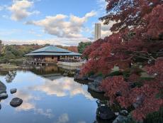 夜に浮かぶ秋の彩り 、大仙公園日本庭園の紅葉　大阪・堺　花さんぽ