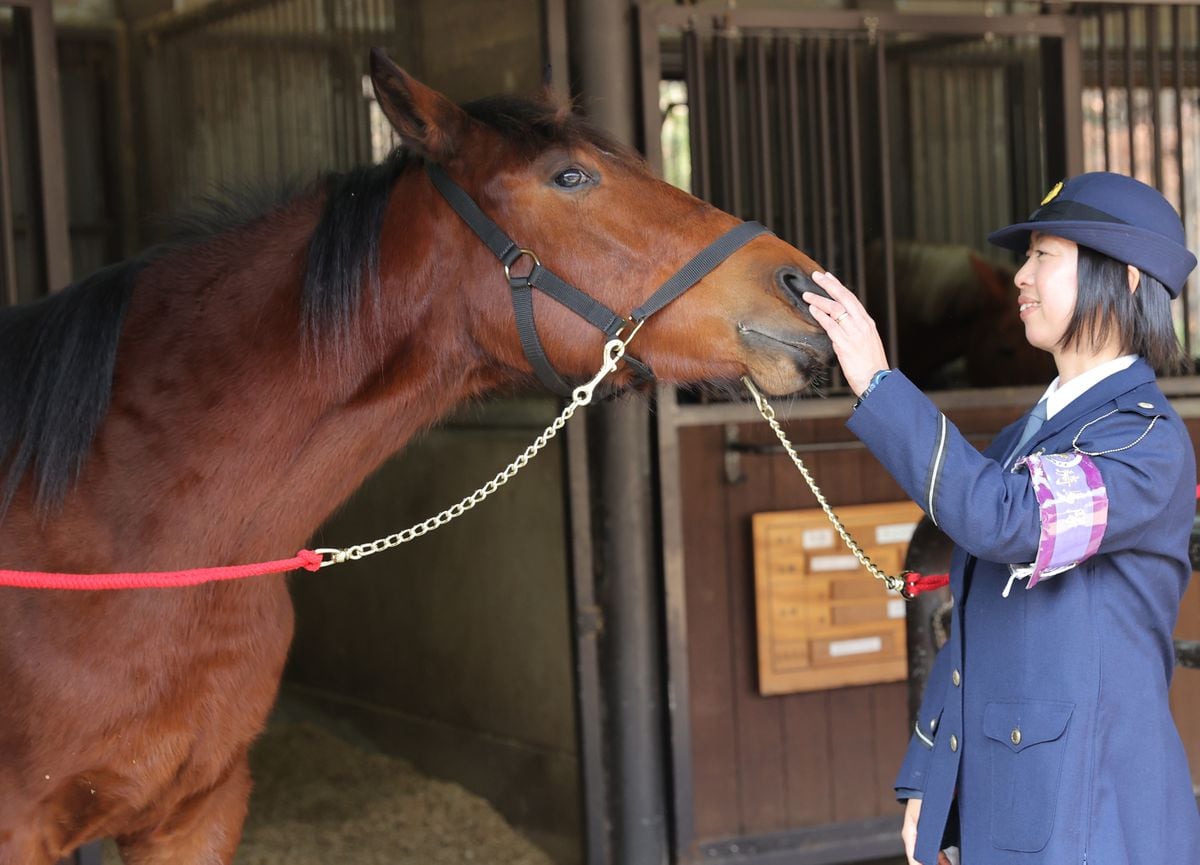 「愛されるエースに」京都府警の平安騎馬隊に1歳のオスの新馬が入隊