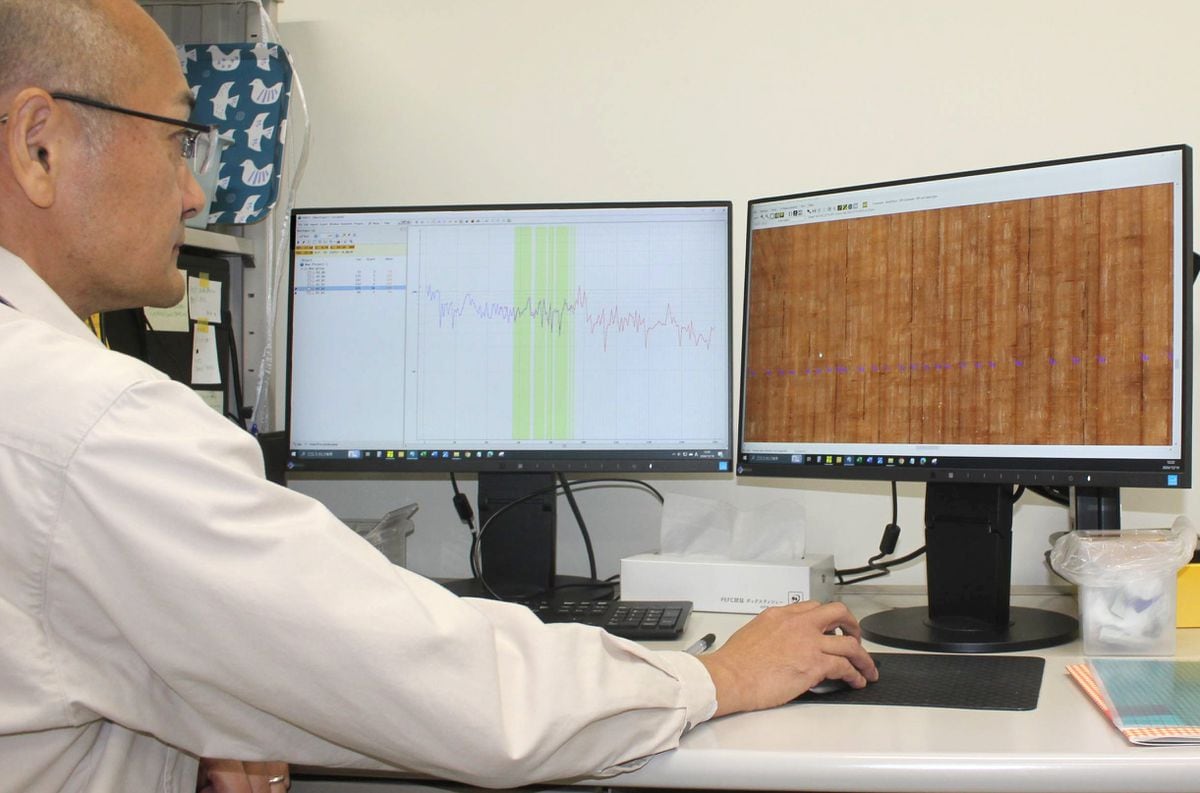 年輪年代測定データをネットで初公開、研究者の追検証や利活用に期待　奈文研