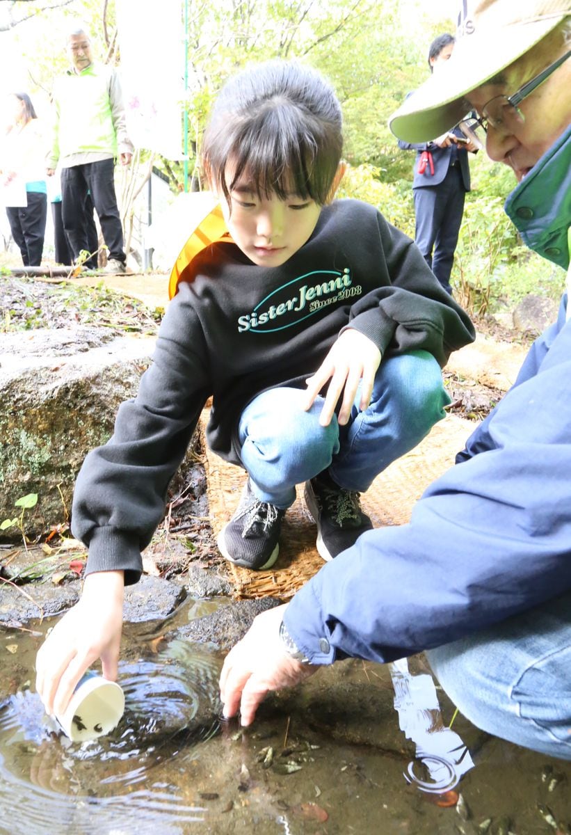 千葉・君津の清流でゲンジボタル復活へ　地元住民ら企画、幼虫を放流　子供の環境学習にも