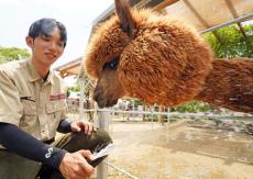 動物たちもクールダウン　ビーバーに氷、ラクダは水浴び　　神戸どうぶつ王国