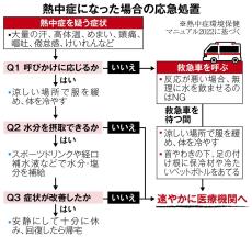 相次ぐ熱中症患者、深部体温40度以上の「最重症」では積極冷却を　救急医学会提言