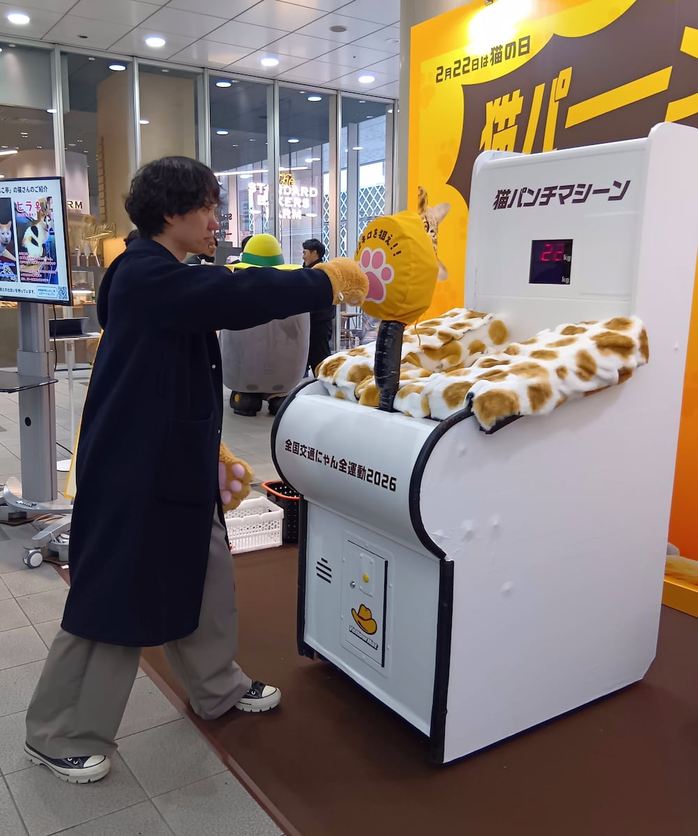 にゃんこになりきって「猫パンチ」 ネコの交通事故防止へ