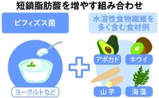 腸内環境を整える短鎖脂肪酸、肥満も予防　世界中で進むプラス効果の研究　知ってる？！