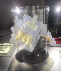 「人類初」宇宙でラーメンを食べた野口聡一さんの企画展
