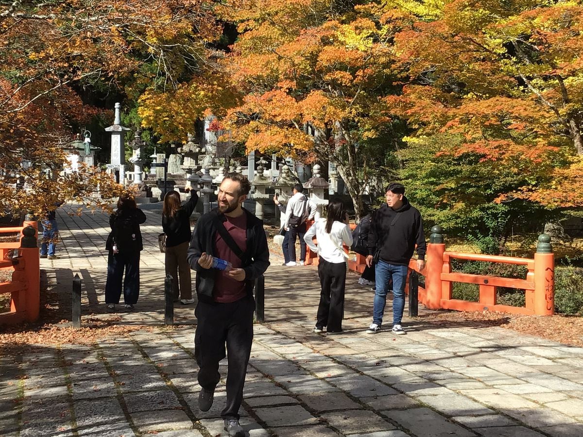 世界遺産・高野山で紅葉見頃　あと1週間程度か　夜間ライトアップも