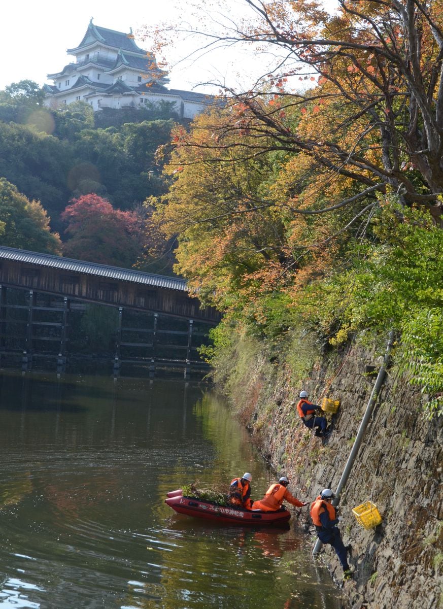 清掃を兼ねたロープ訓練で体幹鍛え、和歌山城をきれいに　和歌山市消防局