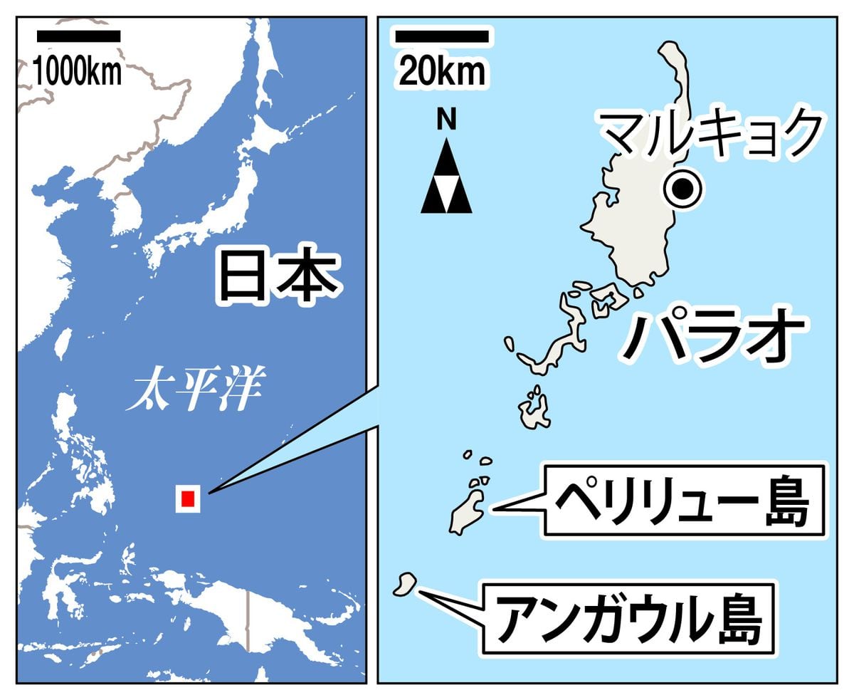 「伯父の戦友、帰還を」アンガウル島玉砕から80年　遺骨収集に取り組む一途な思い　眠れぬ墓標