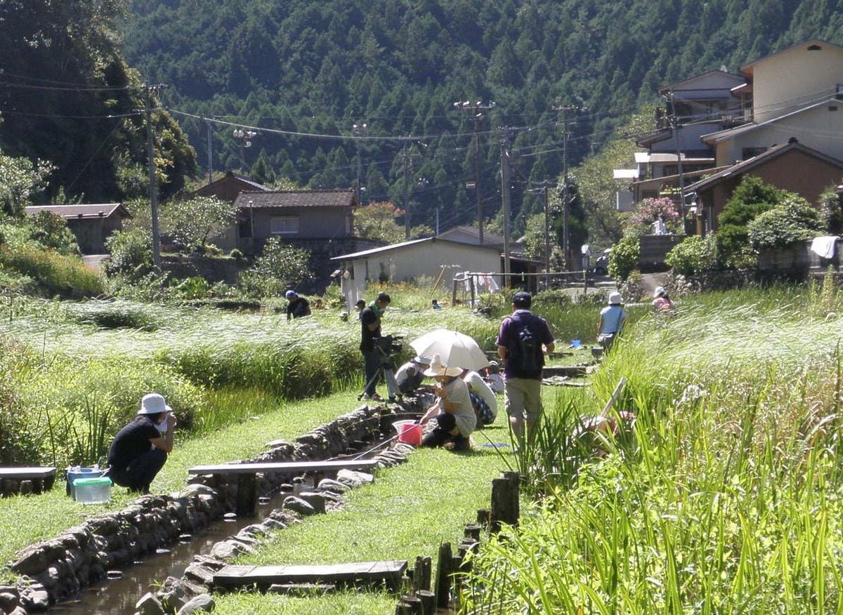 「在来種守ろう」アメリカザリガニ釣り大会、和歌山・田辺の湿田で８月に７年ぶり開催