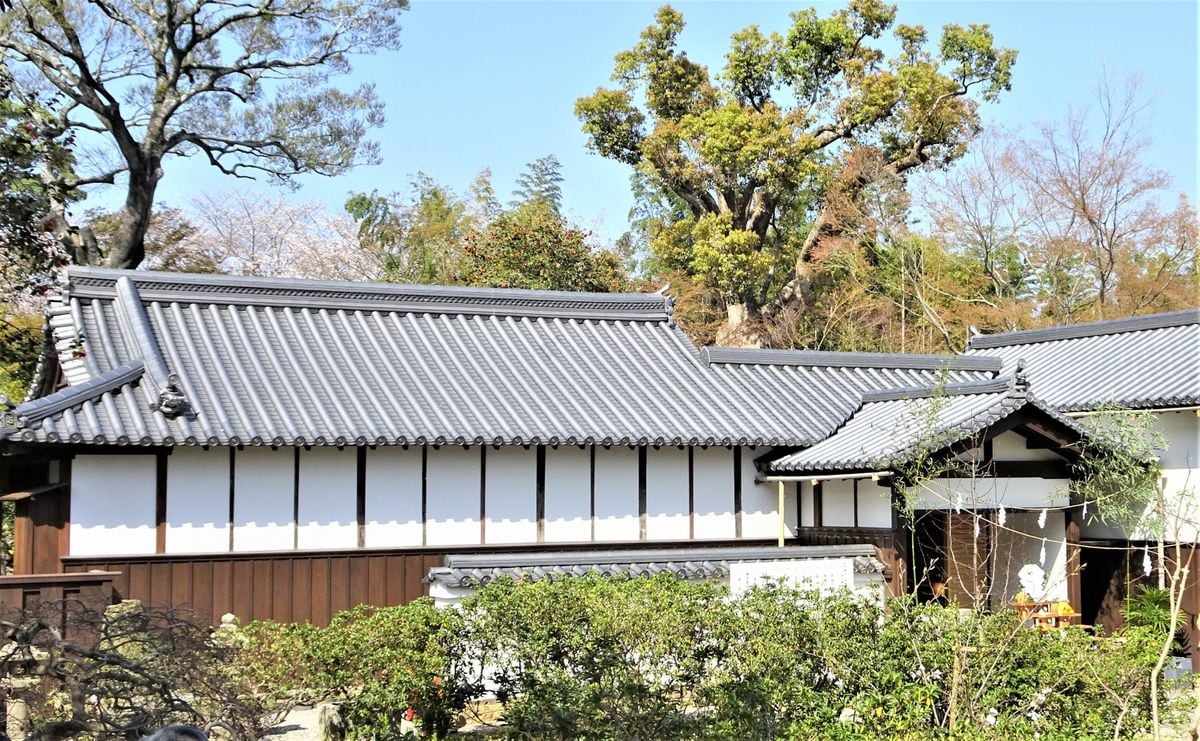 鈴木さん発祥の地で「鈴木サミット」　〝ライバル〟佐藤さんとの交流も