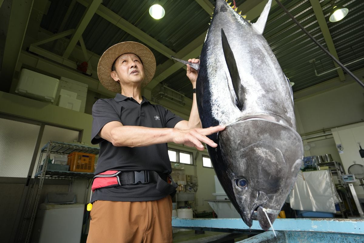 ＜独自＞近大マグロを万博で提供へ、食の未来へ研究成果発信　「ハイブリッド魚」展示も