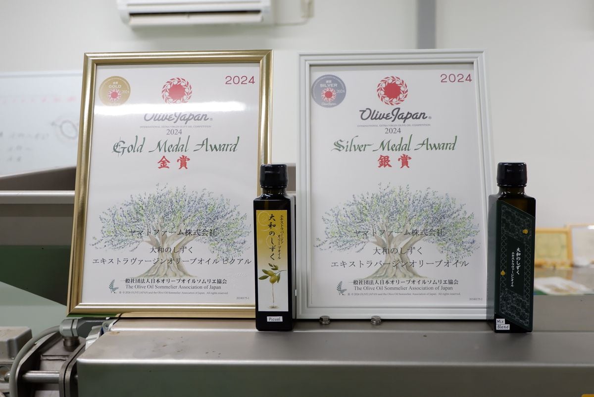 青リンゴと甘いトマトの香り…　奈良・王寺町産オリーブオイルが国際コンテスト入賞