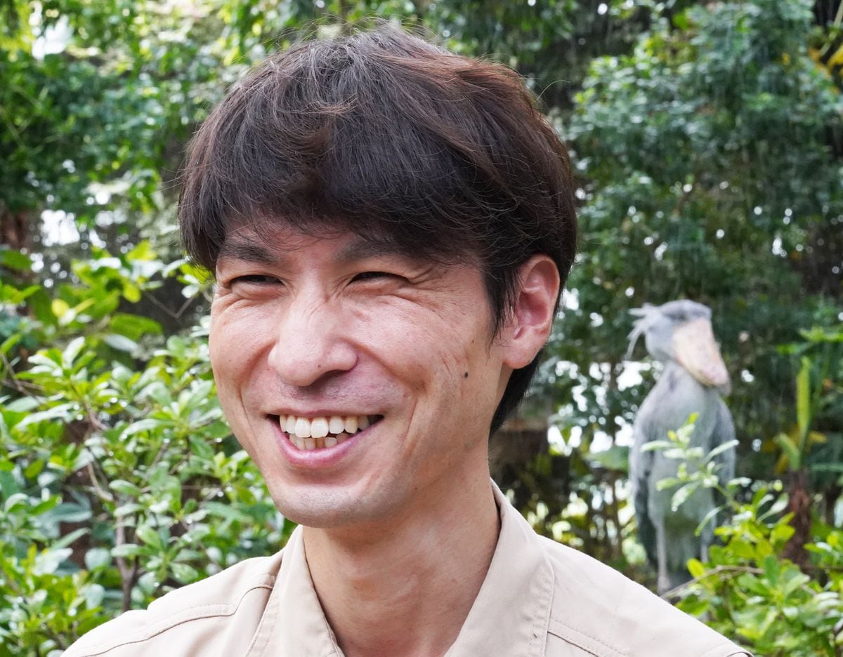 「動かない怪鳥」国内初繁殖への挑戦　神戸の動植物園、行動調査やホルモン研究に試行錯誤