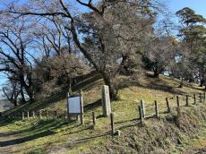 黄門様が行った文化財保護の痕跡を初確認　栃木県大田原市の上侍塚古墳で盛土