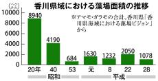 甘みたっぷりなウニで「一石三鳥」　廃棄うどんを餌に養殖、藻場再生と漁獲量回復狙う