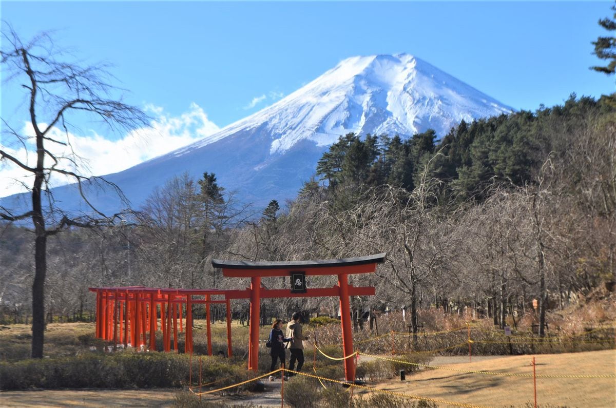 富士山絶景、訪日客需要取り込みへ撮影スポット開設続く　〝映え〟求めた観光公害も深刻化