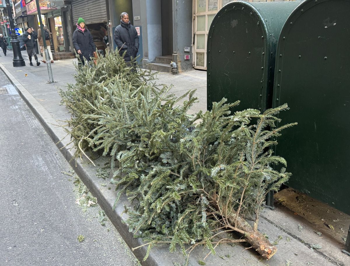 クリスマスツリーの後始末　動物のおやつ、木材チップ再利用…「食べないで」異例の警告も　アイ・ラブ・ニューヨーク