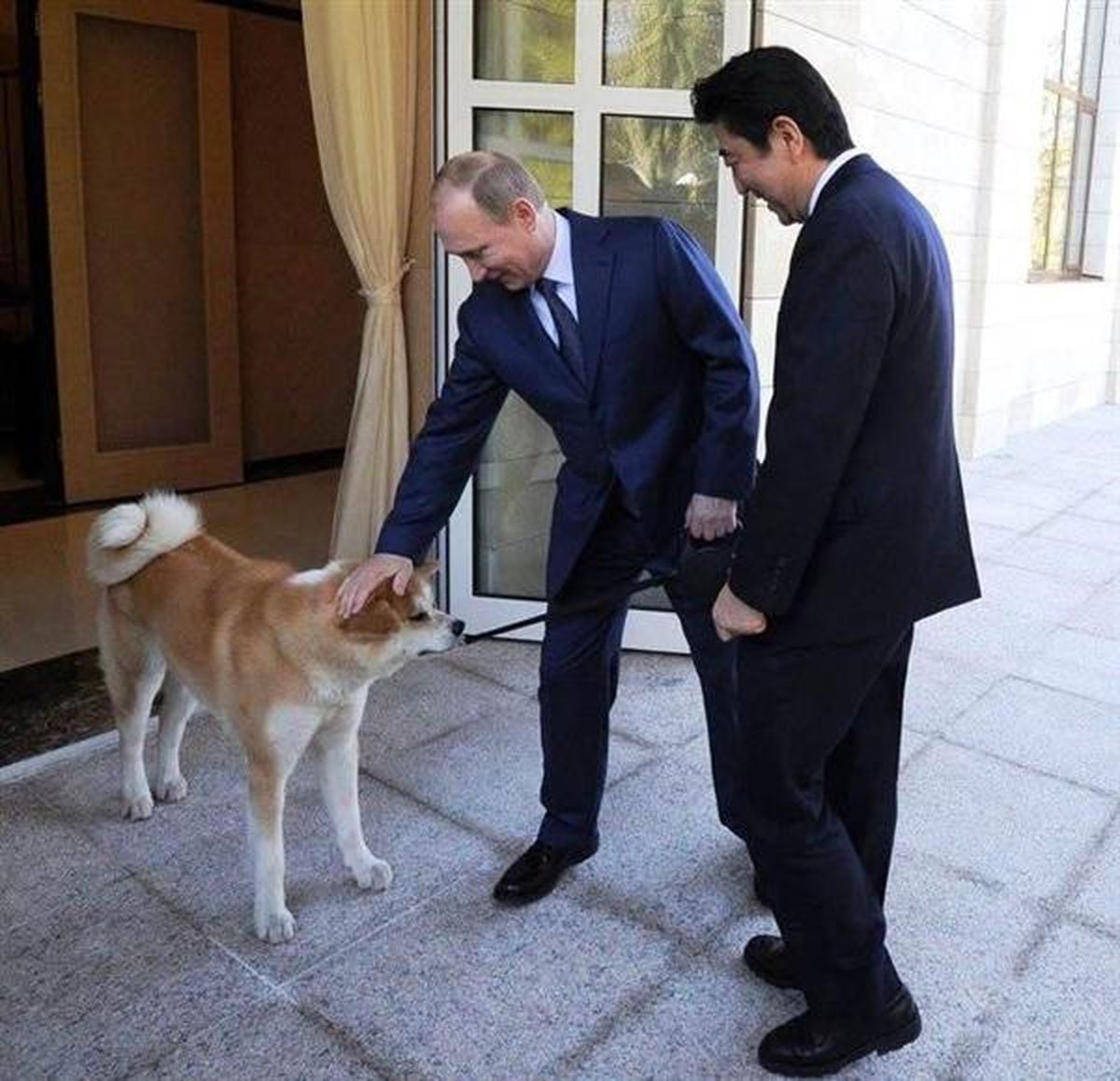 プーチン氏から秋田県知事に贈られたシベリア猫が天国へ…〝交換〟の秋田犬は消息不明8年