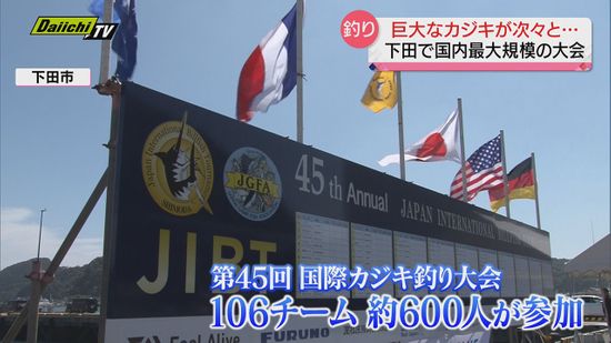 巨大なカジキが次々と…国内最大規模のカジキ釣り大会 ６００人が参加　静岡・下田市