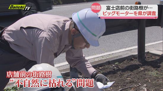 【ビッグモーター】店舗前街路樹問題で県が富士店前の土壌調査実施（静岡）