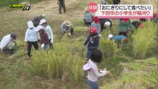 小学生が稲刈り体験「おにぎりを作って食べたい！」（静岡県下田市）