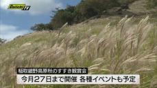稲取・細野高原でススキを観賞するイベント開催　１０月２７日まで　静岡・東伊豆町
